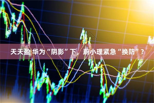 天天盈 华为“阴影”下，蔚小理紧急“换防”？