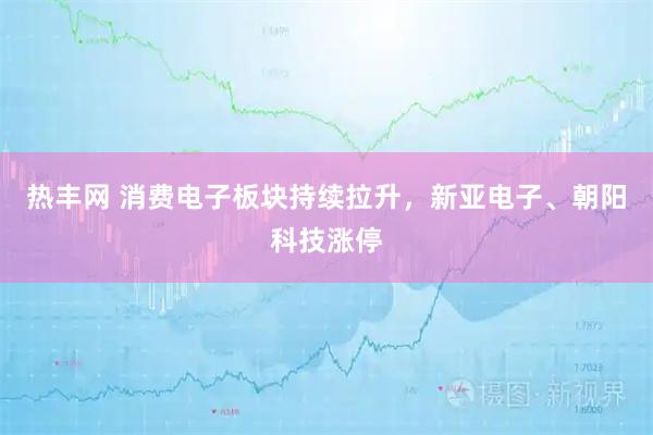 热丰网 消费电子板块持续拉升，新亚电子、朝阳科技涨停